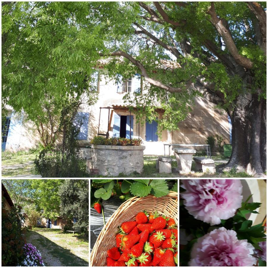 Mas Saint-Joseph Bed and Breakfast Fontvieille Exterior foto
